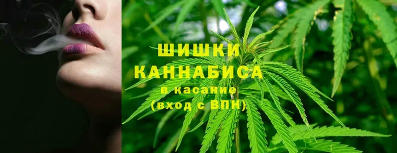 Каннабис индика  площадка клад  Змеиногорск 